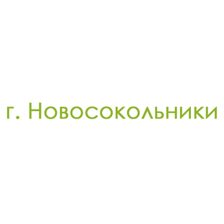 г. Новосокольники (0)